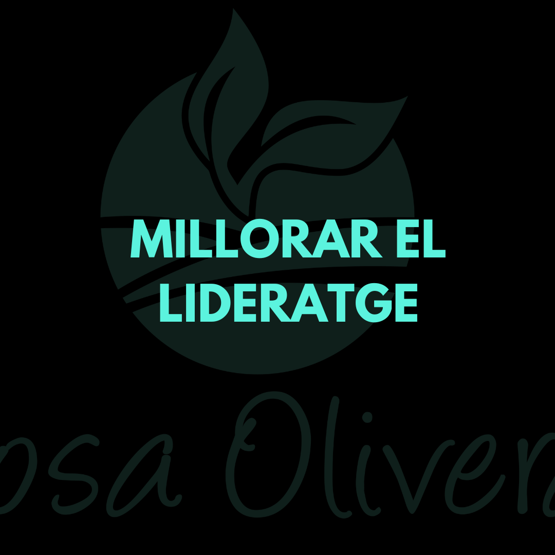 Millorar el Lideratge